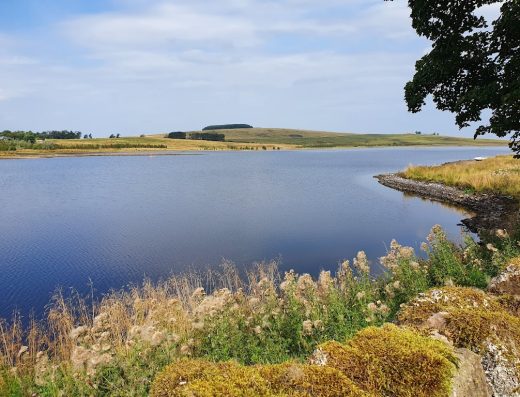 Cairns Farm