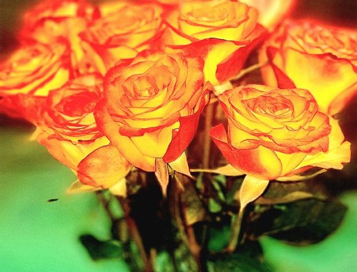 LaBloom Florist