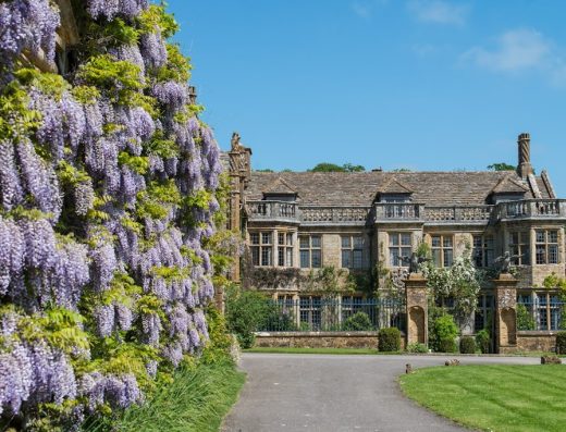 Mapperton House, Gardens & Wildlands